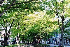 img_20111115-153120.gif