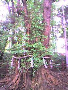 img_20111118-130404.jpg