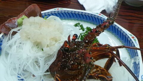 img_20130301-024540.jpg