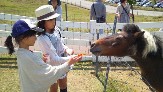 img_20130508-021328.jpg