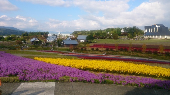 img_20131008-015731.jpg
