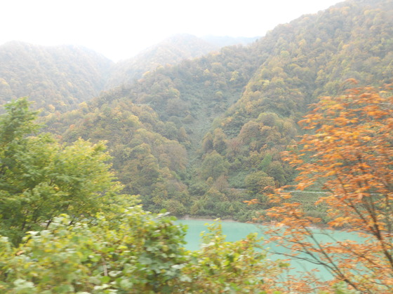 img_20131107-020620.jpg