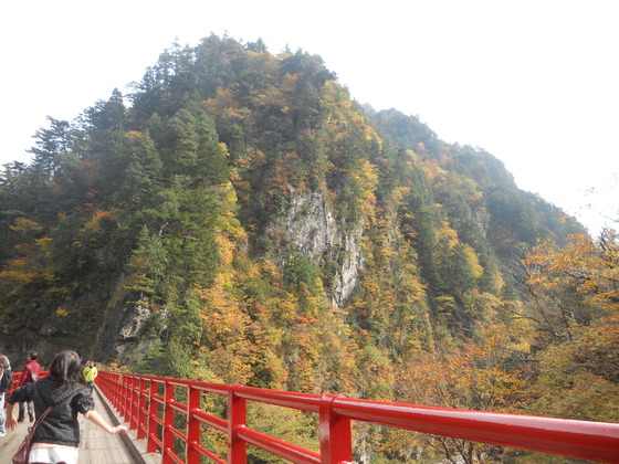 img_20131107-022540.jpg