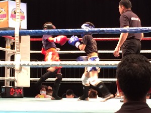 img_20151212-202846.jpg