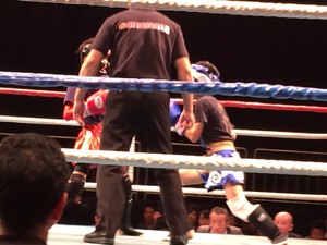 img_20151212-202944.jpg