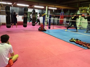 img_20160414-230244.jpg