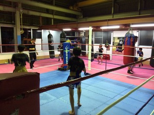 img_20160422-231150.jpg