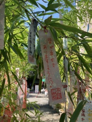 image2.jpeg