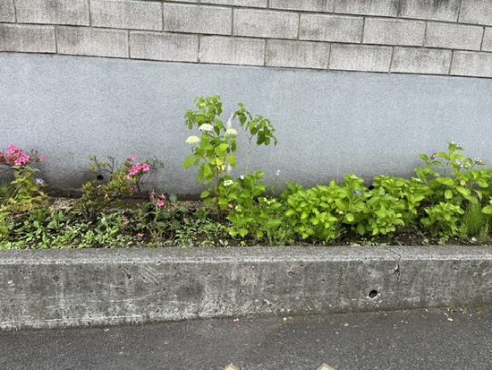 image0.jpeg
