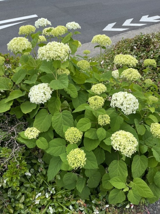 image0.jpeg