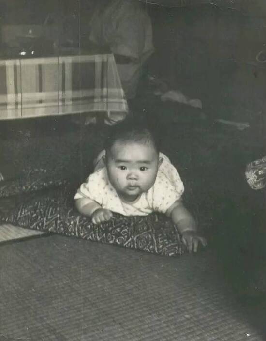 チーム50れい