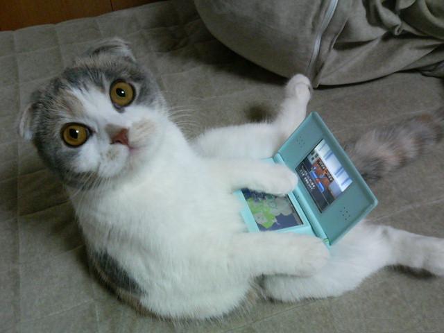 バンド練習画像