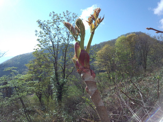 img_20130514-213404.jpg