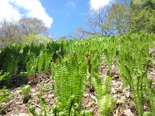 img_20130514-213638.jpg