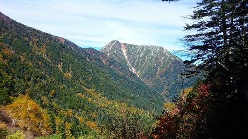 img_20151006-062415.jpg