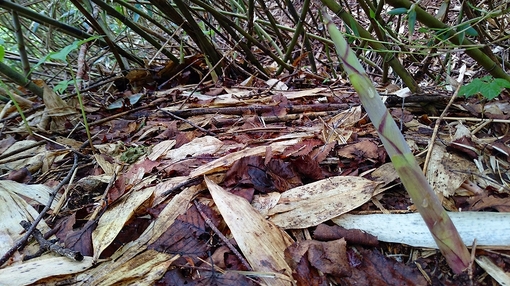 img_20160606-211437.jpg