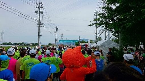 img_20160613-203031.jpg