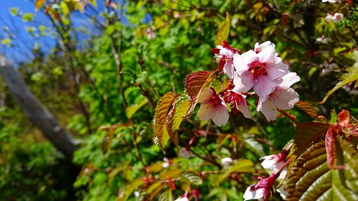img_20160621-002201.jpg