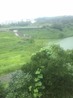 矢那川ダムにて