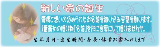img_20111216-003946.jpg
