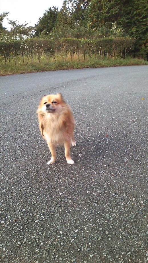 �ʐ^�摜