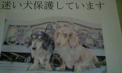 無題画像