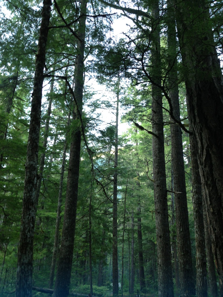 シアトル~写真5~