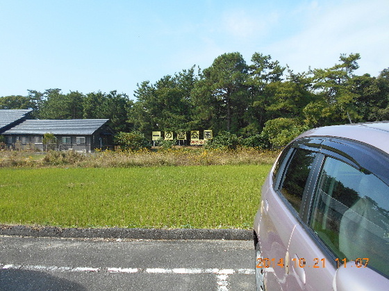img_20141103-144435.jpg