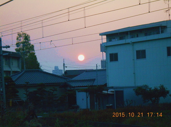 img_20151029-095517.jpg