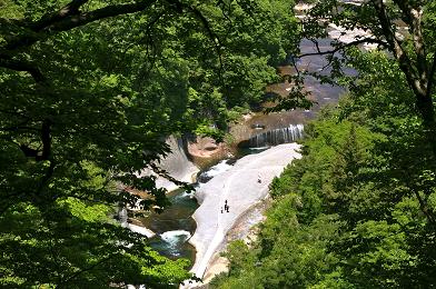 img_20130608-144342.jpg