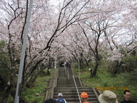 img_20160329-203342.jpg