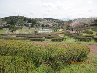 img_20160402-175412.jpg