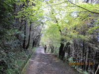 img_20160402-175441.jpg