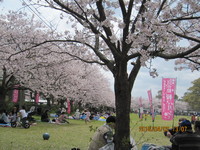 img_20160402-175518.jpg