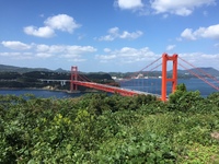 img_20161010-074752.jpg