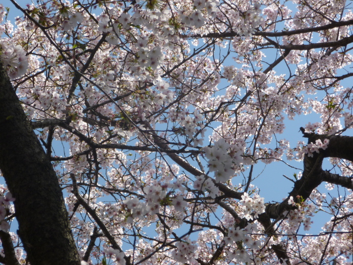 img_20140608-143637.jpg