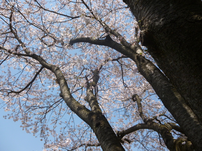 img_20140608-143715.jpg