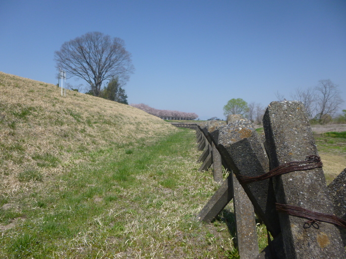 img_20140608-145002.jpg