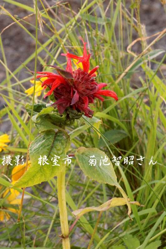 img_20130210-201925.jpg