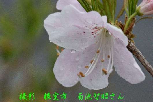 img_20130210-202103.jpg