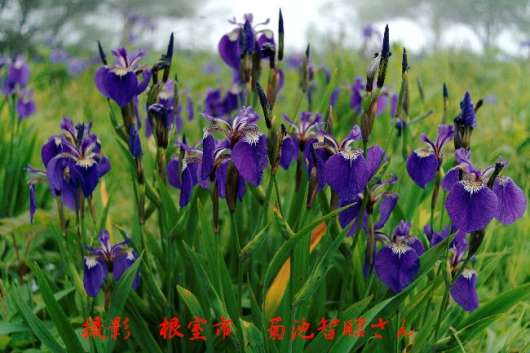 img_20130210-202159.jpg