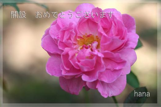 �f�������g�o�`��摜