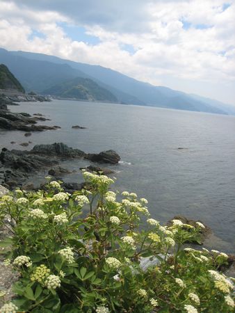 �C�������ł��ˁO�O�摜
