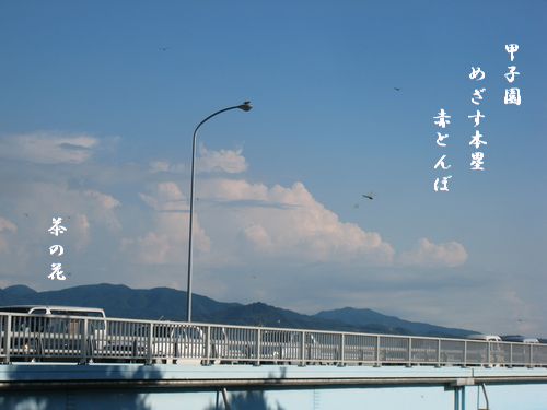 �f���炵���ł��ˁI�摜
