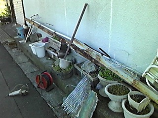 img_20131127-055653.jpg
