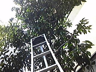 img_20140730-173910.jpg