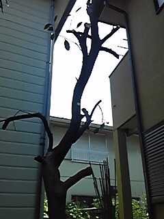img_20140730-173943.jpg