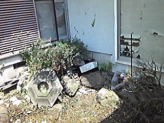 img_20140731-184748.jpg