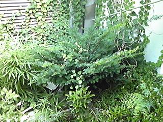 img_20150719-100926.jpg