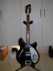 Rickenbacker #360 JG(GINさん) 画像